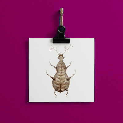 cherry-bert // bug#0054 - card