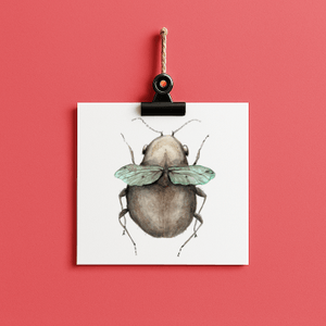big bug berta // bug#0049 - card