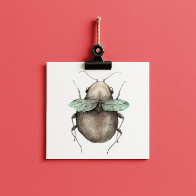 big bug berta // bug#0049 - card