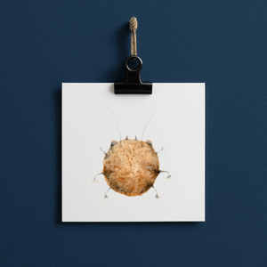 cookie bug#0021 - card