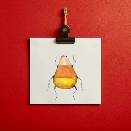 Andy Corn- bug#0221 - card