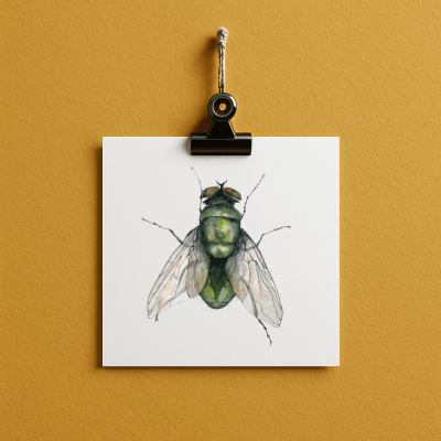 fly#0006 - card