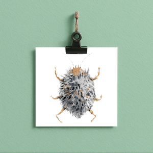 fluffy // bug#0046 - card