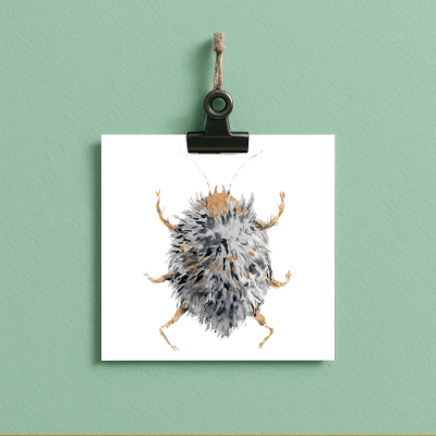 fluffy // bug#0046 - card