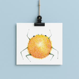 Sunny - bug#0203 - card