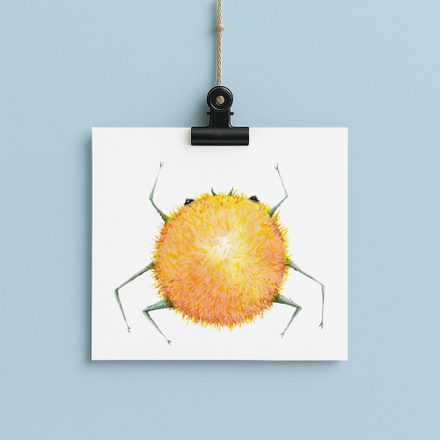 Sunny - bug#0203 - card