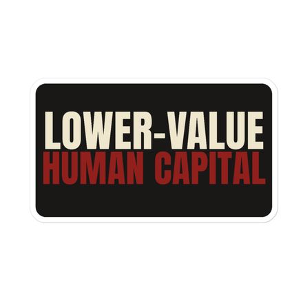 Lower-Value Human Capital – Satirical Anti-AI Vinyl Sticker | Protest Decal