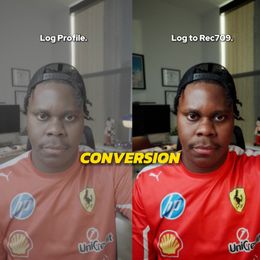 CONVERSION LUT