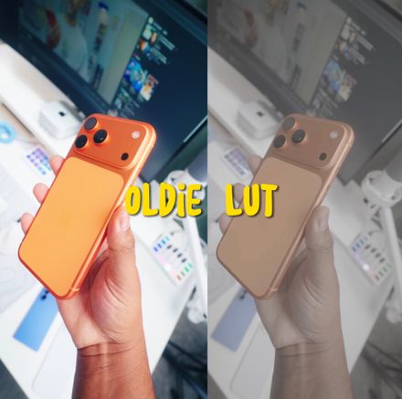 OLDIE LUT