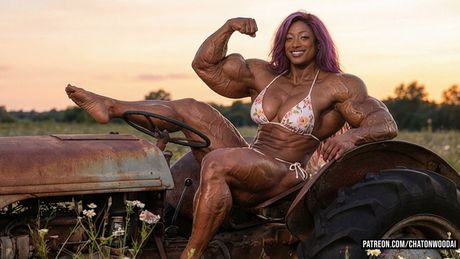 035 - Indigo - Summer Field