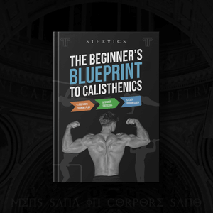 CALISTHENICS WORKOUT