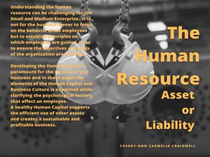 Human Resource: Asset or Liability