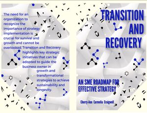Transition and Recovery: An SME Roadmap for Effective Strategy