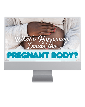 What&#x27;s Happening Inside the Pregnant Body?