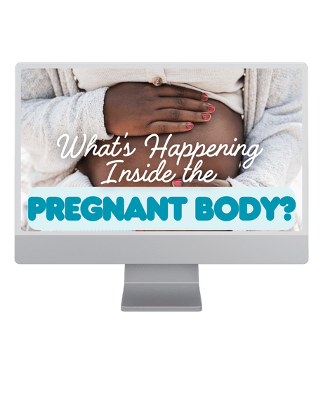 What&#x27;s Happening Inside the Pregnant Body?