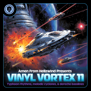 Vinyl Vortex 11