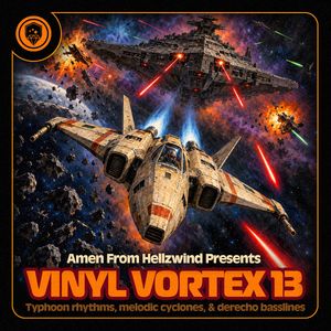 Vinyl Vortex 13