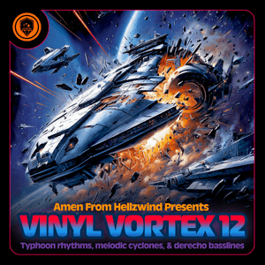 Vinyl Vortex 12