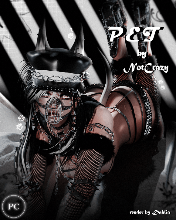 𝐏𝐞𝐭 | 𝐒𝐩𝐬 | 𝐅𝐓 | 𝐆𝐨𝐠𝐨