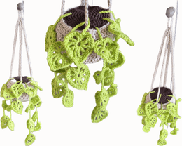 Patron - PLANTE A SUSPENDRE - au crochet (français) ⭐