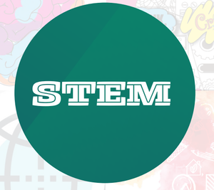 STEM past Regional Challenges