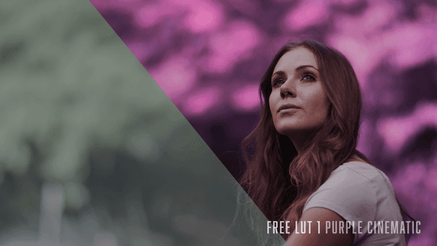 LUT | FREE PURPLE CINEMATIC | BEHIND 