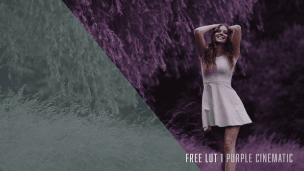 LUT | FREE PURPLE CINEMATIC | BEHIND 