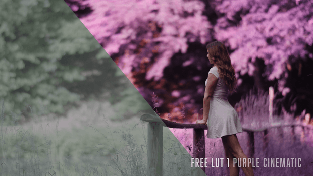 LUT | FREE PURPLE CINEMATIC | BEHIND 
