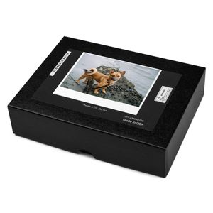 Jigsaw Puzzle with Dog Standing on a Rocky Shore