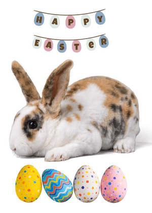 Happy Easter Card: Easter Bunny with Colorful Eggs