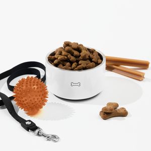 Pet Bowl with Dog Treats in 'Dog Bone' Logo