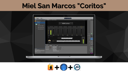 &quot;Coritos&quot; Miel San Marcos (MS3+)