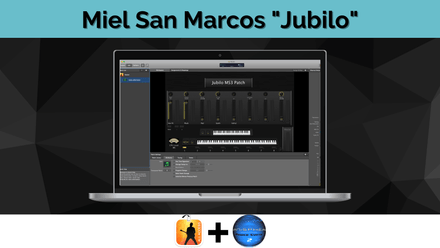 &quot;Jubilo&quot; Miel San Marcos (MS3+)