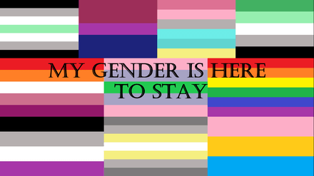 My Gender Is Here To Stay Song, Video and Information Sheet