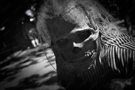 Halloween Horror 2025 #9