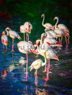 A Flamboyance (Digitally Painted Photograph)