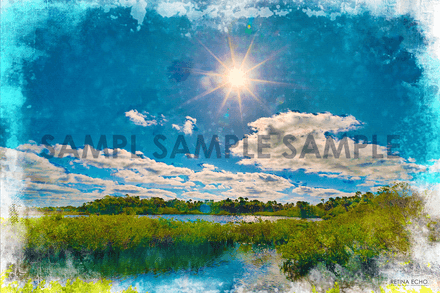 The Mid-Day Marsh