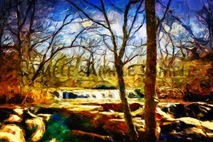 The Woods (Digitally Painted Photograph)