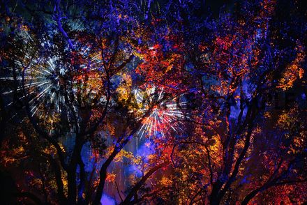 Color Explosion