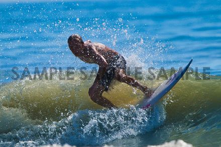 Shred It 2!
