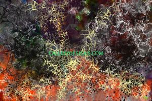 155 SPLIT DIGITAL ART PIXEL SIZE 2970 X 1981