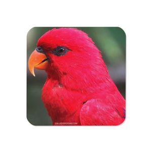 RED PARROT CORK BACK COASTER 3.74 X 3.74
