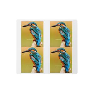 GREEN BLUE BIRD GAMING MOUSE PAD