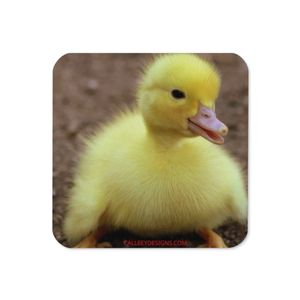 DUCKLING CORK BACK COASTER 3.74 X 3.74