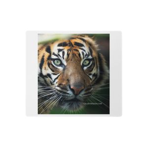 FEMALE TIGER GAMING MOUSE PAD