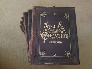 Animate Creation Illustrated - 6 Volumes - Rev. J. G. Wood - Selmar Hess 1898 Antique Books
