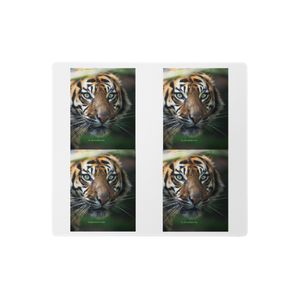 MALE TIGER GAMING MOUSE PAD