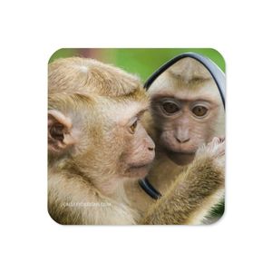 MONKEY LOOKING IN MIRROR CORK BACK COASTER 3.74 X 3.74