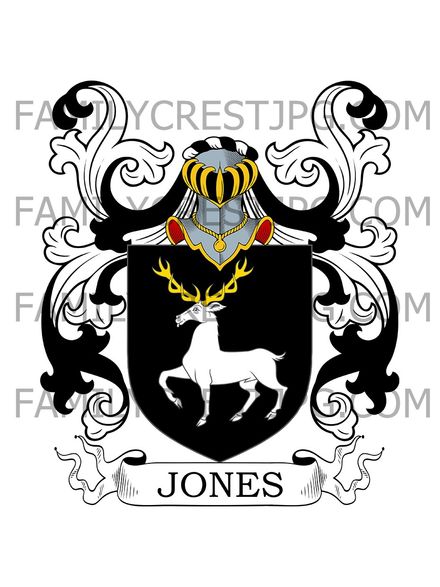 Jones Family Crest - Ireland