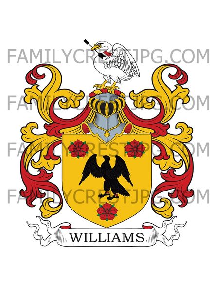Williams Family Crest - Clovelly Court, co. Devon, England